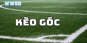 Thể Thao WW88 - Sảnh Cá Cược Online Tin Cậy, Kèo Thơm