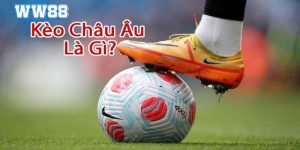 Thể Thao WW88 - Sảnh Cá Cược Online Tin Cậy, Kèo Thơm