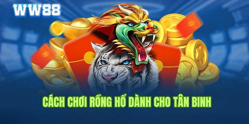 Cách Chơi Rồng Hổ WW88 - Quy Trình Đánh Dragon Tiger Cơ Bản