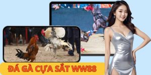 Đá Gà WW88 - Nền Tảng Cho Trải Nghiệm Uy Tín Năm 2026