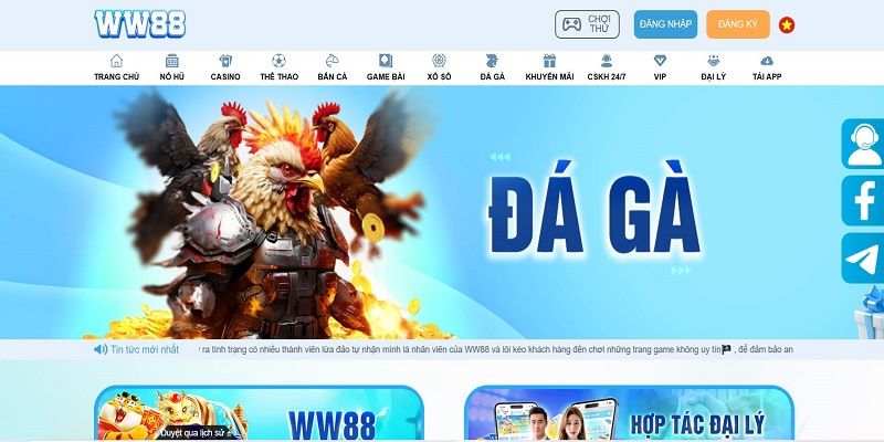 Đá Gà WW88 - Nền Tảng Cho Trải Nghiệm Uy Tín Năm 2026