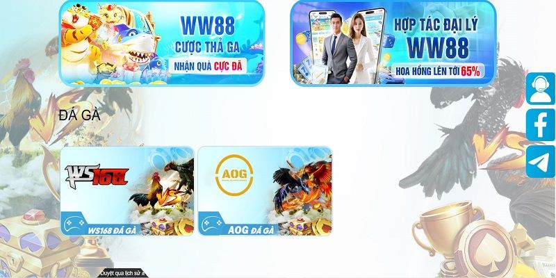 Đá Gà WW88 - Nền Tảng Cho Trải Nghiệm Uy Tín Năm 2026